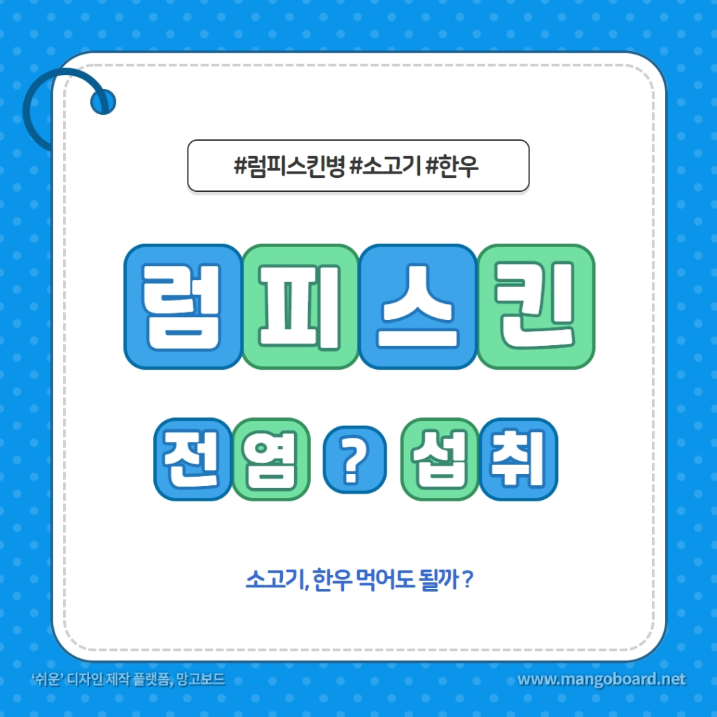  럼피스킨병, 사람한테도 전염될까? 소고기 먹어도 되나요?