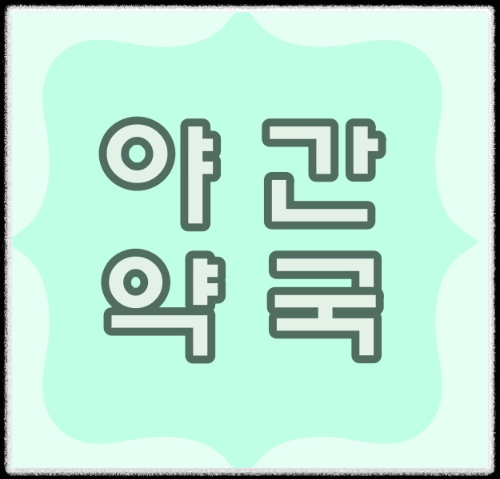  가평군 근처 야간 약국
