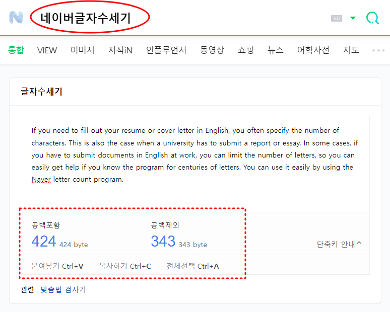 리뷰온즈앤서포터 네이버 블로그 글자수세기 프로그램
