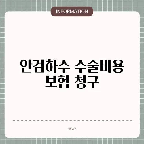 안검하수 수술비용 보험 청구