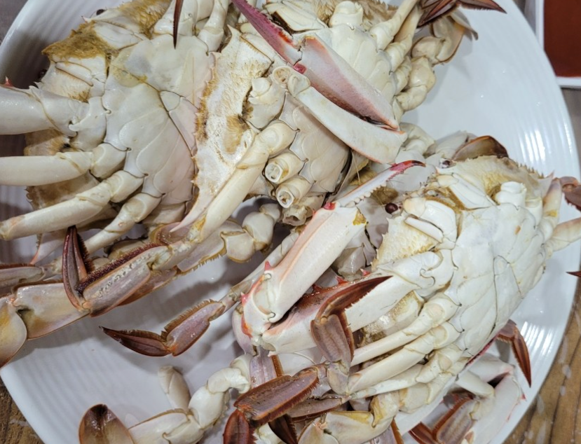 고향맛집 2