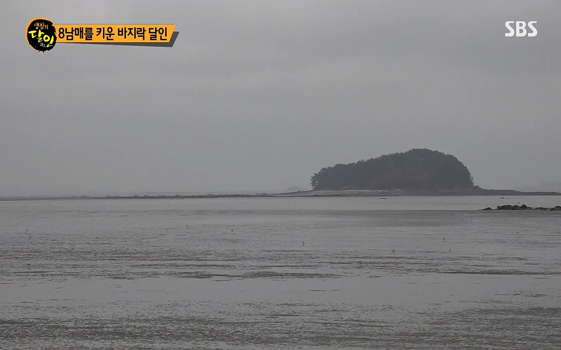 생활의 달인.E835.220322p-NEXT.mp4_20220322_183436.704.jpg