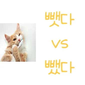 뺏다 vs 뺐다 헷갈리지 말고 정확히 구분하세요 완벽 가이드_21