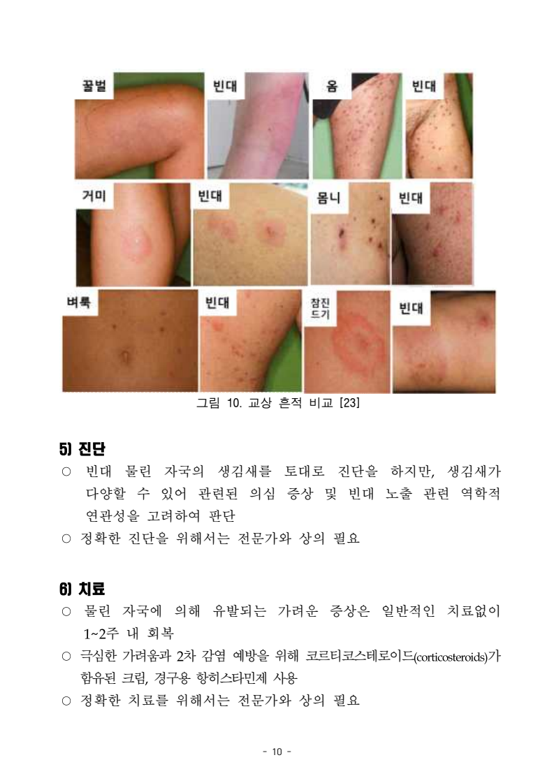 빈대 정보집, 개정판 배포