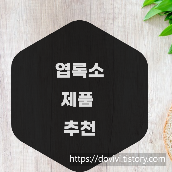 엽록소 제품 추천