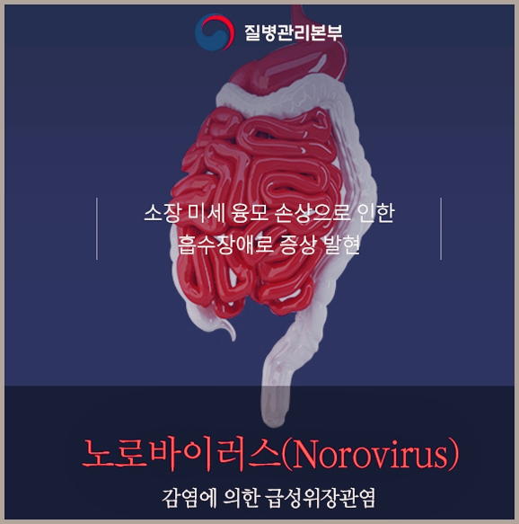 노로바이러스-질병관리본부