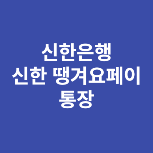 신한 땡겨요페이