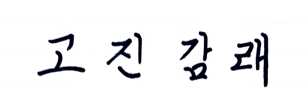 사진