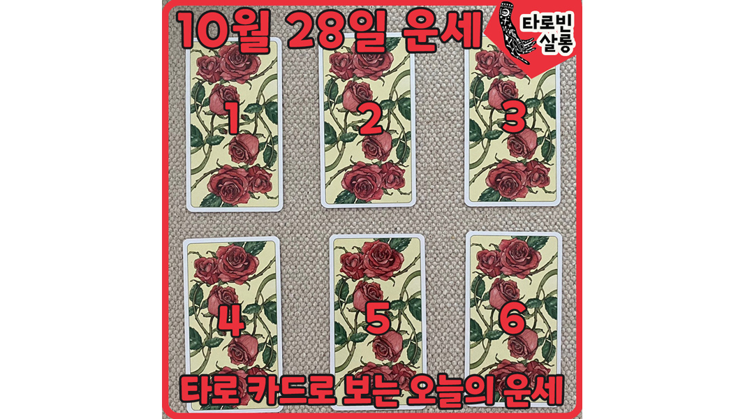  [10월 28일 운세] 타로 카드로 보는 365일 오늘의 운세