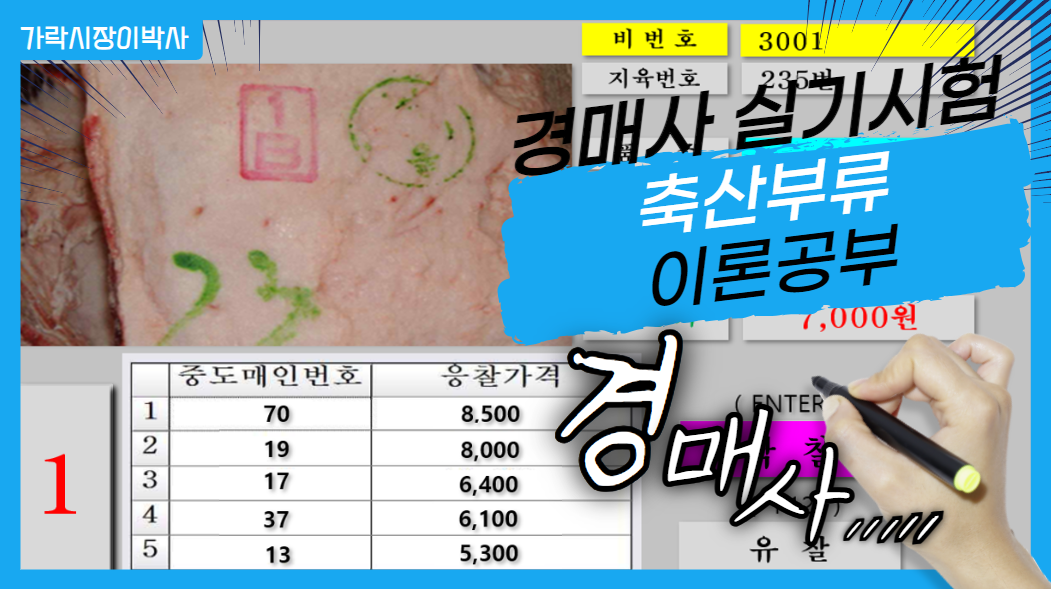  [경매사 실기시험] 축산경매사를 꿈꾸는 분들은 경매사2차 시험 보기 전에 꼭 읽어보세요~