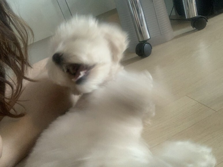 오알카페 이미지
