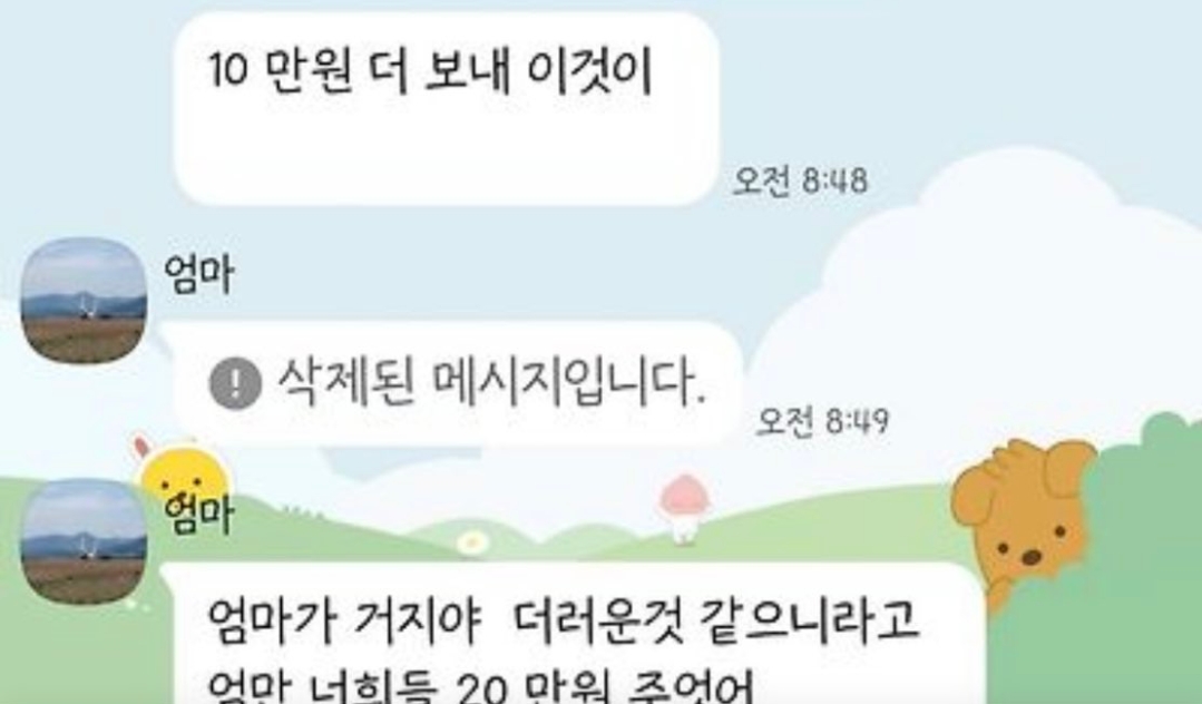 엄마가 일본여행가는데 돈달라고 톡옴ㅋㅋ 4