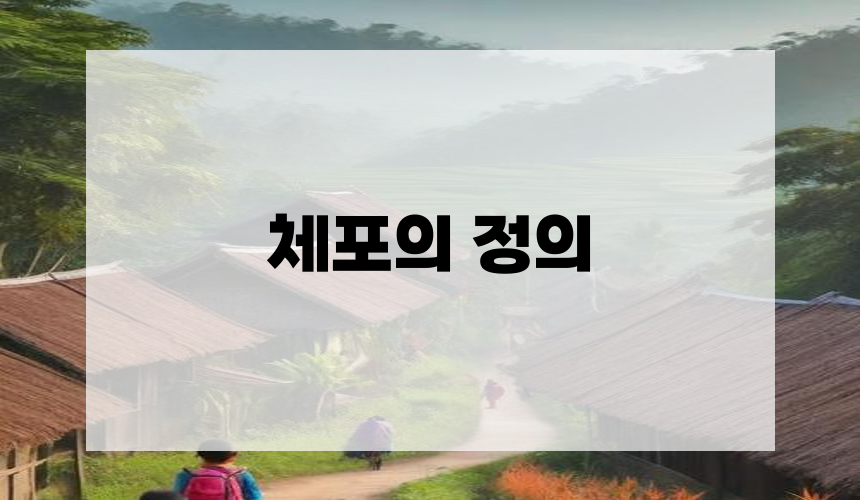 체포의 정의