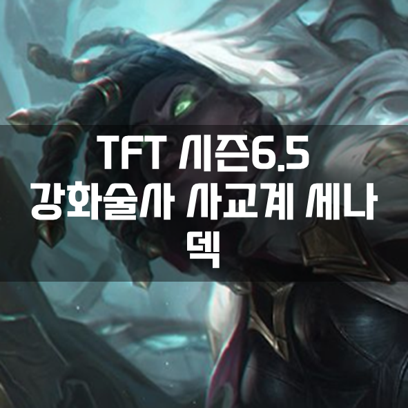  롤체 시즌6.5 강화술사 사교계 세나 덱