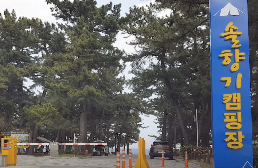  강릉 카라반 캠핑장 이용후기 (feat. 연곡솔향기캠핑장)