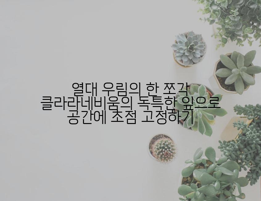 열대 우림의 한 쪼각 클라라네비움의 독특한 잎으로 공간에 초점 고정하기