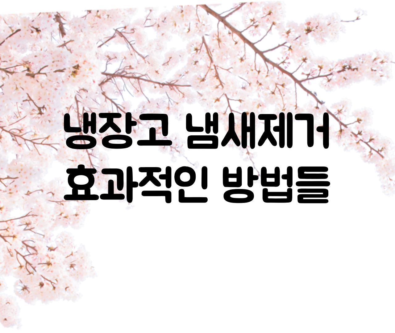  냉장고 냄새 없애는 방법, 냉장고 냄새 제거방법 (식빵, 커피, 소주 )