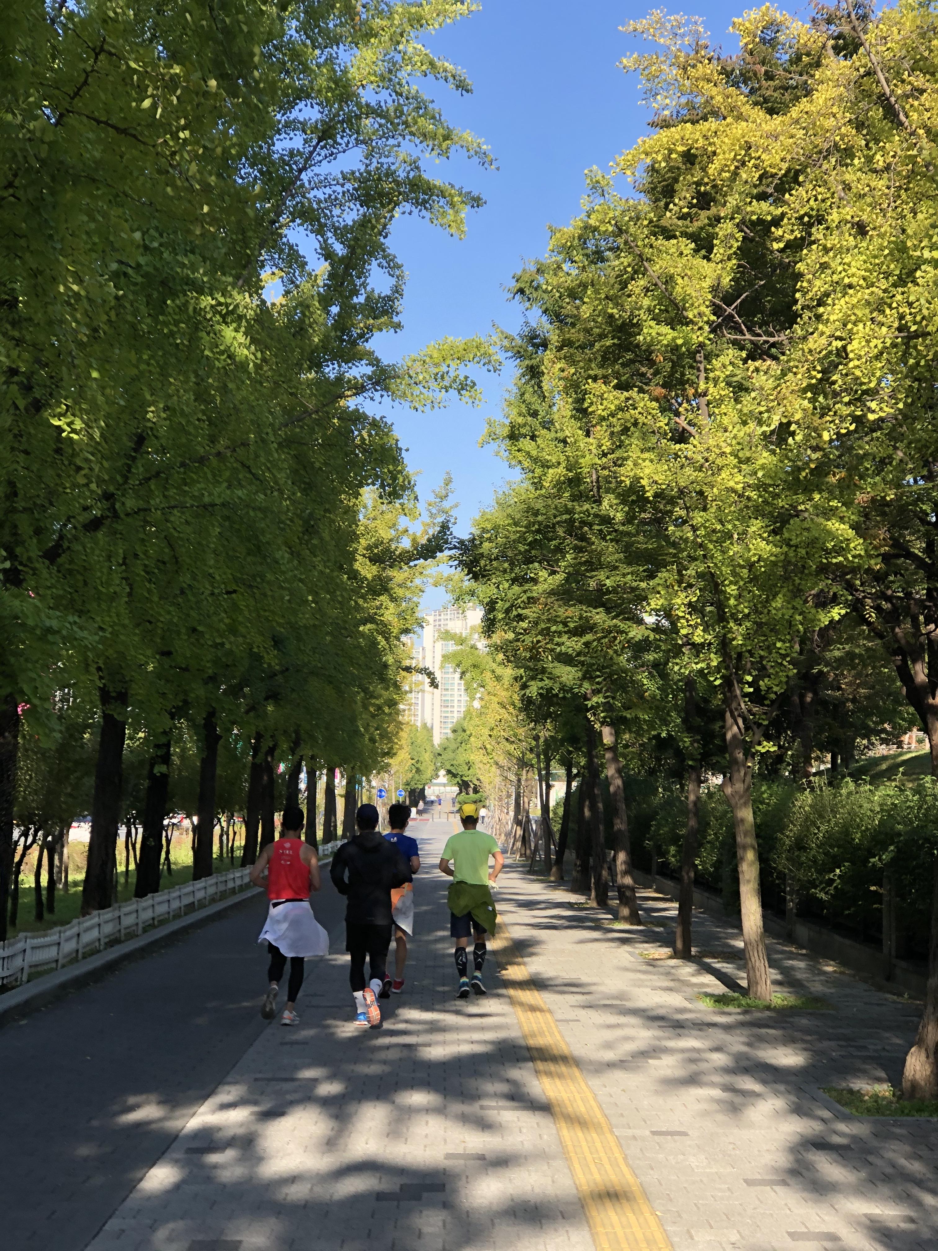  수술 후 식사대용으로 먹기 좋은 음료 엔슈어 바닐라 프로틴 쉐이크 성인 하루 권장 칼로리