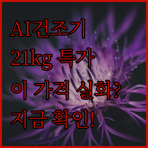 삼성 AI 건조기 21kg, 이 가격