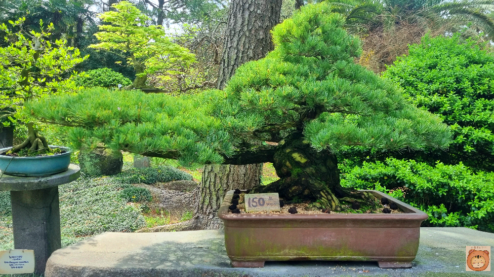 한림공원