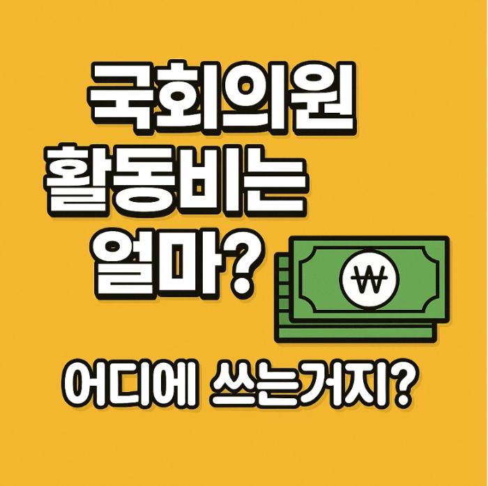 국회의원 활동비 얼마일까-썸네일
