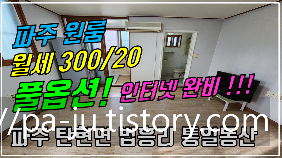  파주 탄현면 법흥리원룸/통일동산원룸/헤이리원룸/파주영어마을원룸/신세계첼시아울렛원룸 월세 300/20만 개방감 좋고 채광좋은 남향집 인터넷완비 풀옵션 깔끔한 원룸