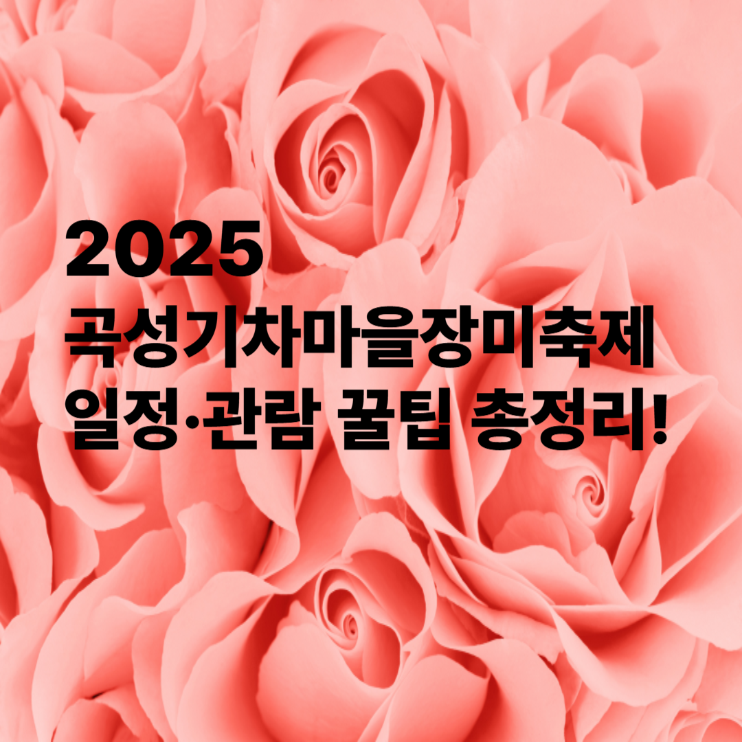 2025 곡성 기차마을 장미축제 일정·관람 꿀팁 총정리! 썸네일