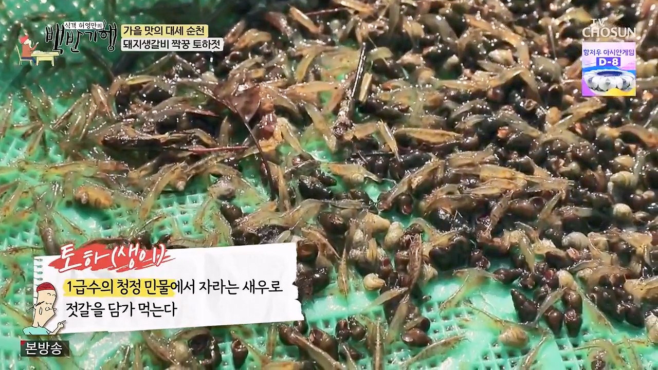 식객 허영만의 백반기행.E216.230916p-NEXT.mp4_20230916_162747.817.jpg