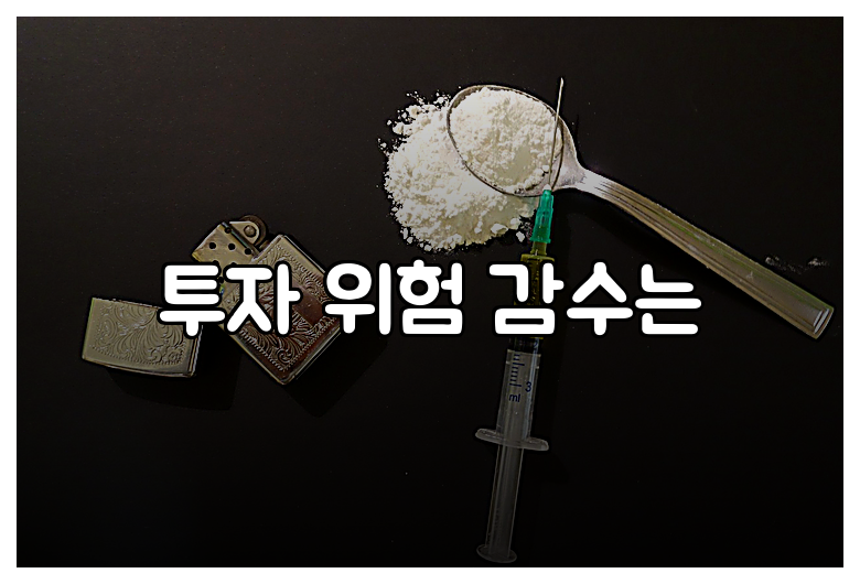 투자 위험 감수는