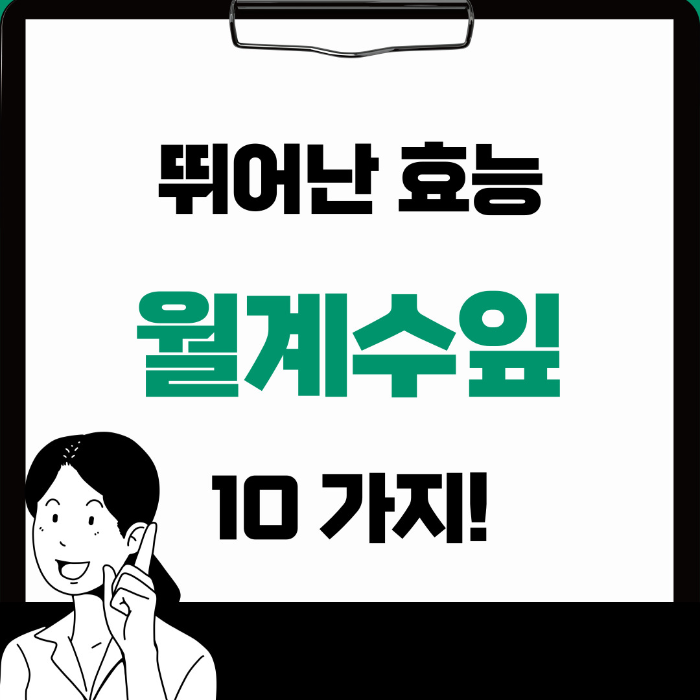  월계수잎 효능 10가지
