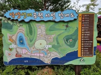 함안 악양생태공원 샤스타데이지 꽃밭 완벽 관람 가이드_17