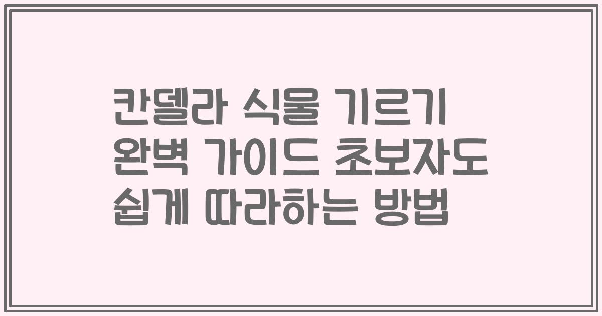 칸델라 식물 기르기 완벽 가이드 초보자도 쉽게 따라하는 방법