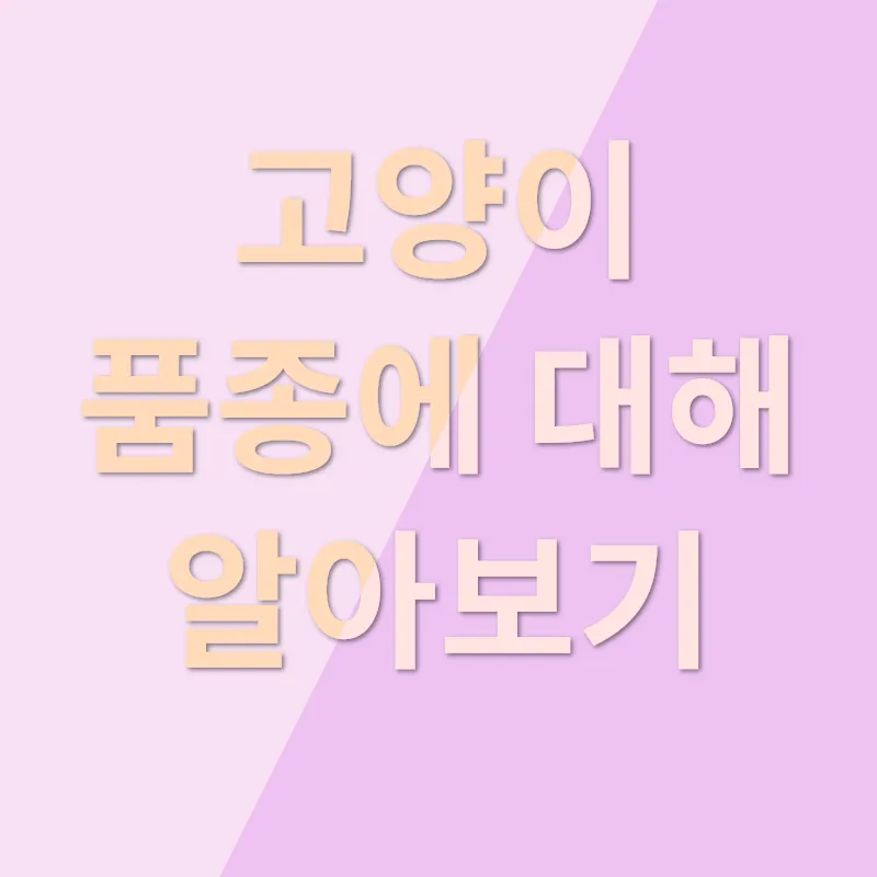 사랑하는 고양이 친구 선택 가이드_2
