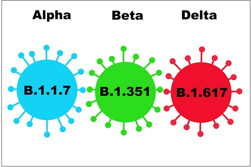  우리도 알면 좋은 미국의 델타 변종 현황 VIDEO: What you need to know about the highly contagious delta variant