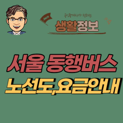 썸네일 서울동행버스 안내