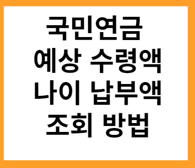 국민연금 예상 수령액 나이 납부액 조회