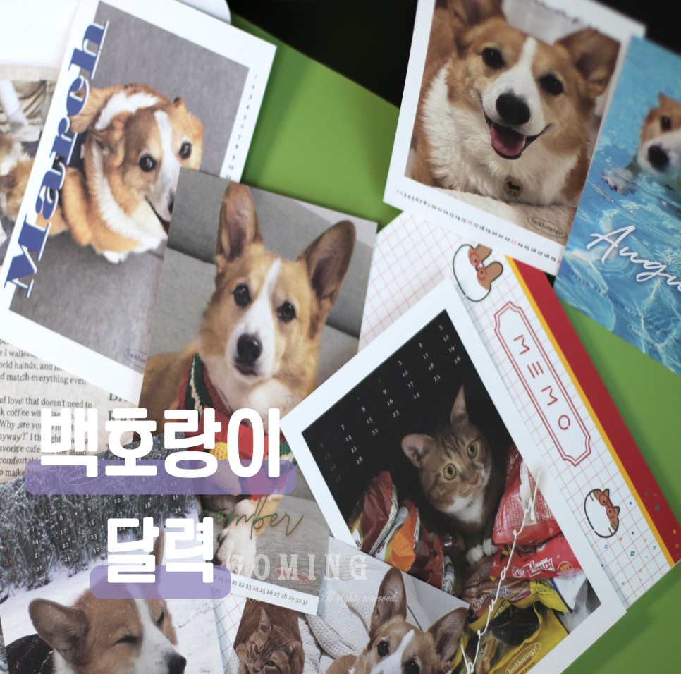 백호랑이 주문, 이웃집의 죽도록 사랑해!!!! 9