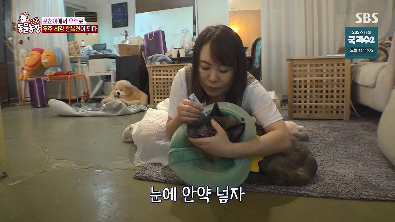 TV 동물농장.E1137.230911p-NEXT.mp4_20230910_183228.015.jpg