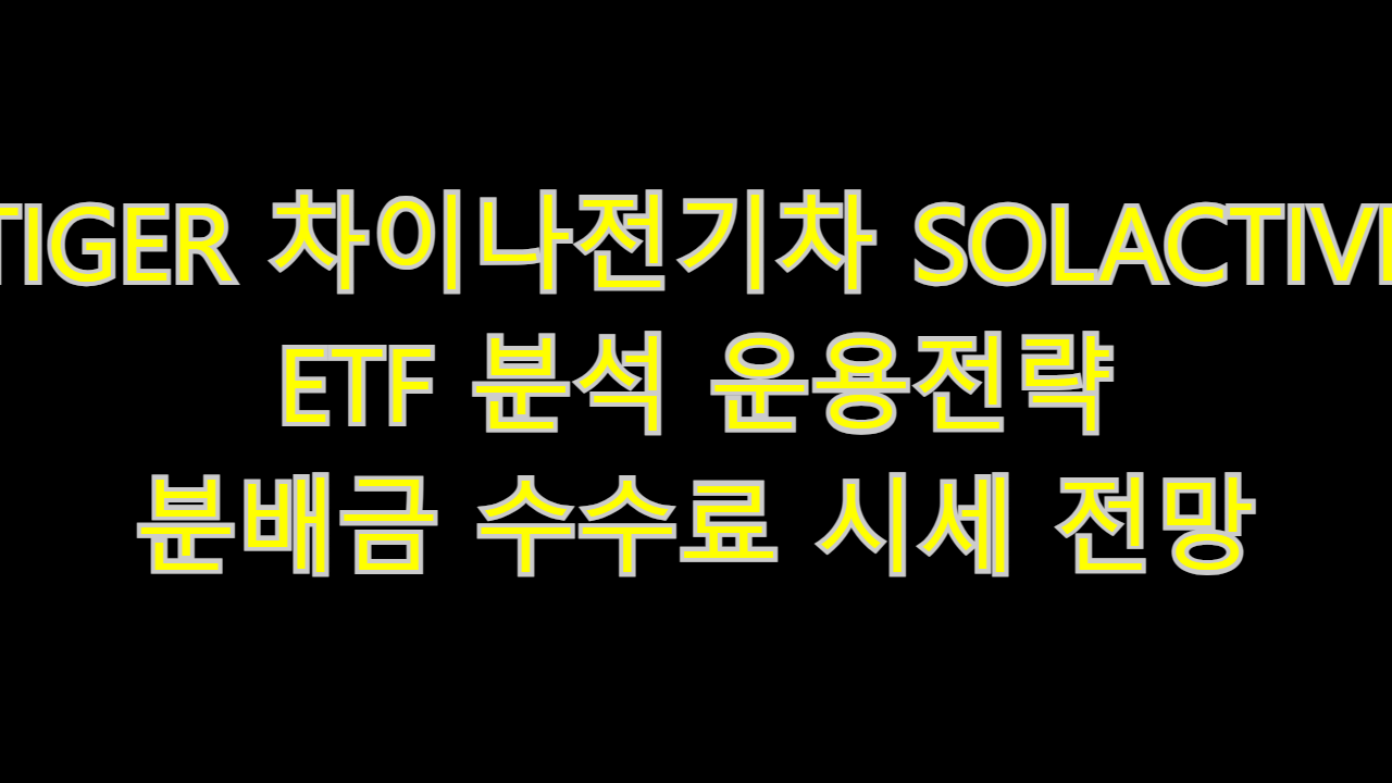  TIGER 차이나전기차 SOLACTIVE ETF 분석 운용전략 분배금 수수료 시세 전망