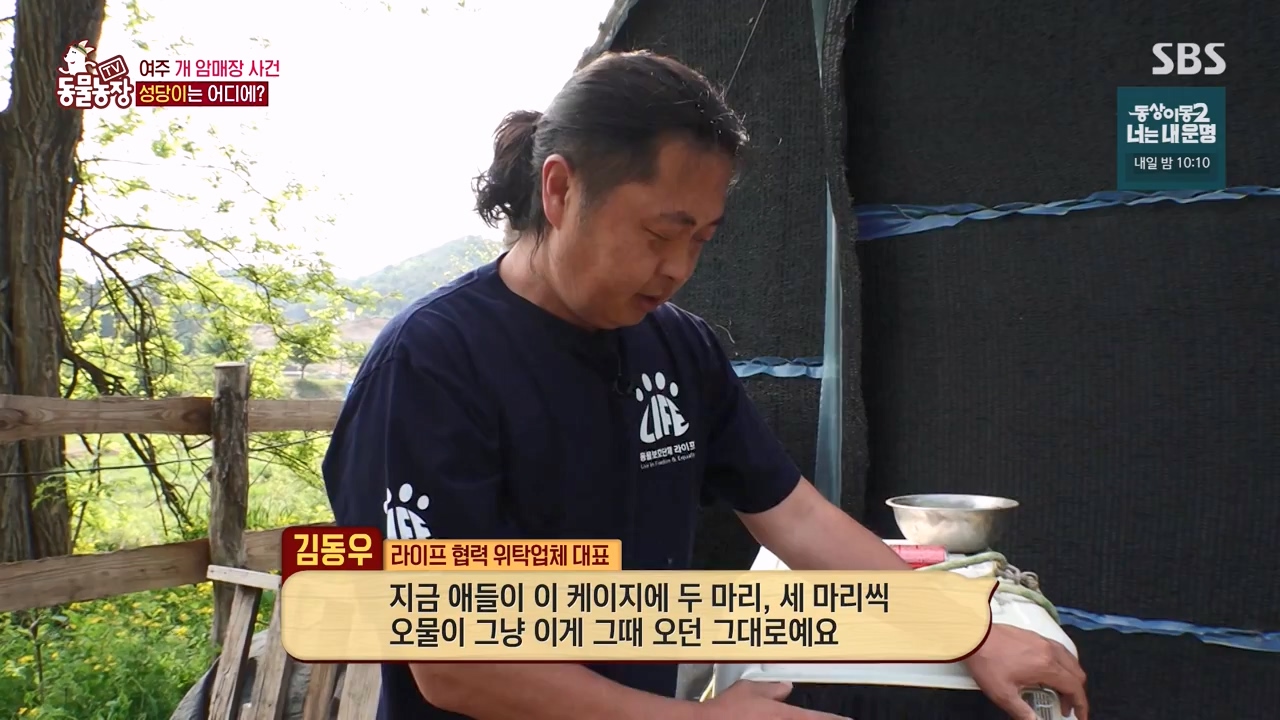 TV 동물농장.E1122.230529p-NEXT.mp4_20230528_170309.888.jpg