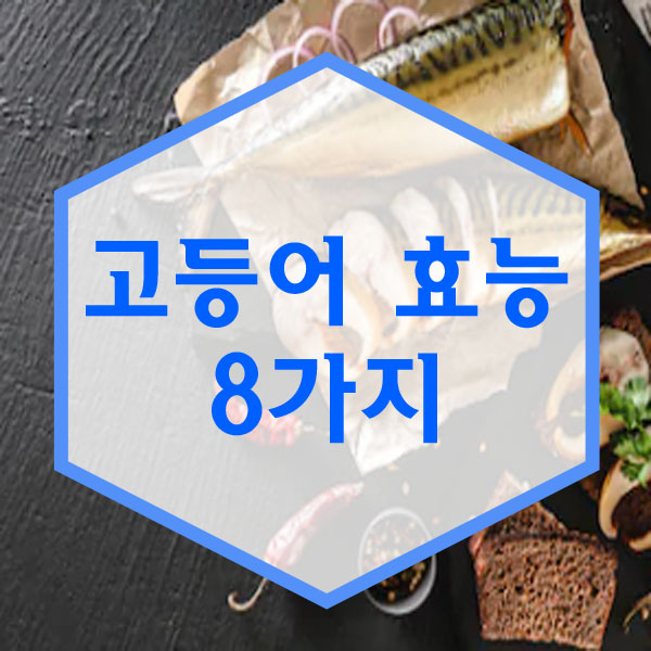  고등어 효능 정리