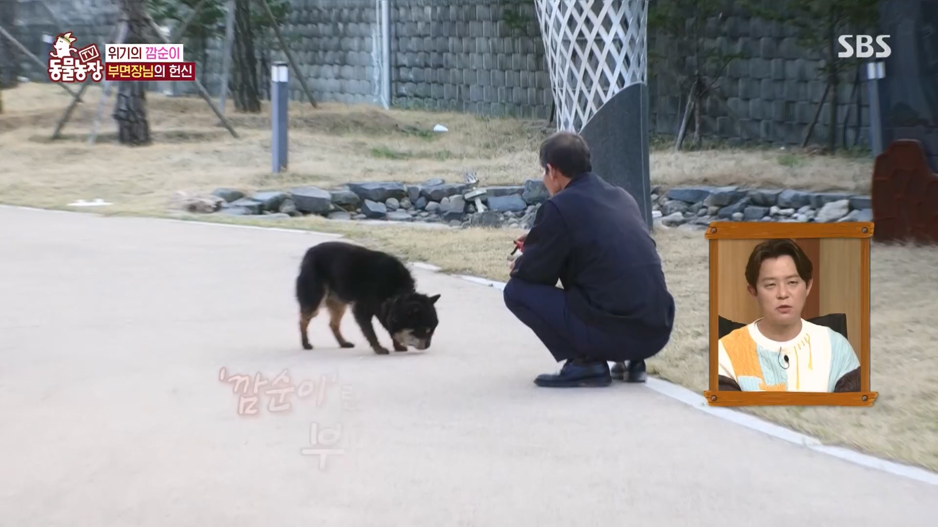 TV 동물농장.E1118.230423p.H264-F1RST.mp4_20230423_181131.061.jpg