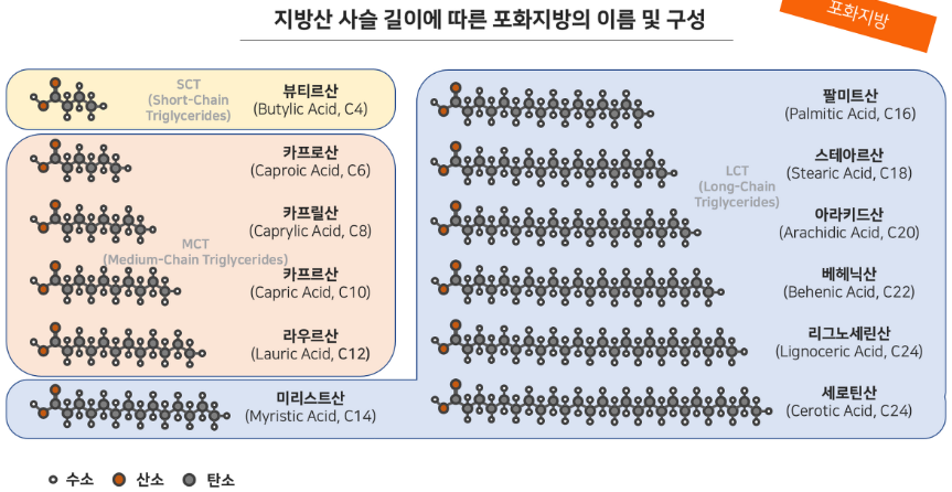 지방산 사슬 길이에 따른 지방 분류