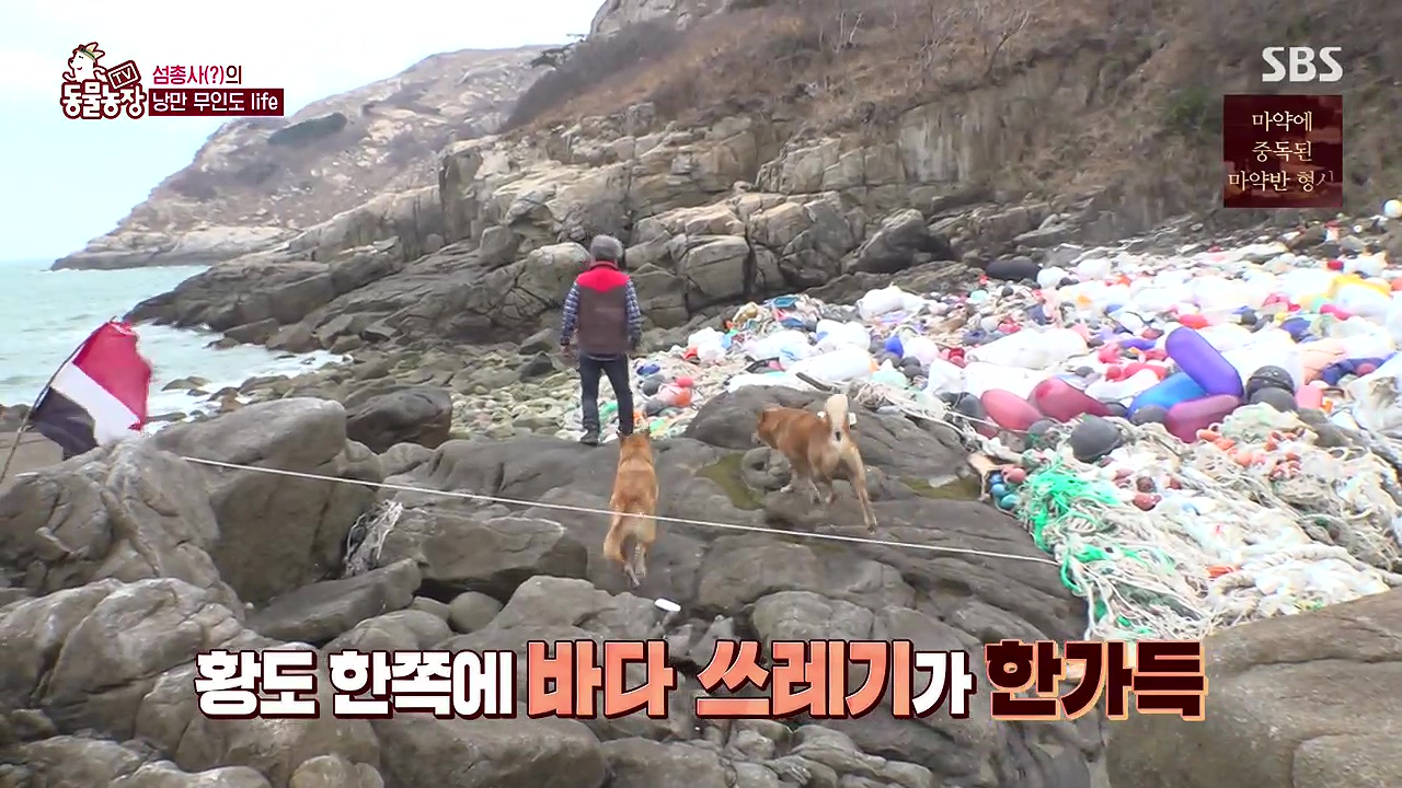 TV 동물농장.E1172.240520p-NEXT.mp4_20240519_162715.322.jpg