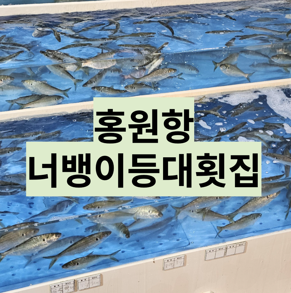  [충남/서천] 홍원항 너뱅이등대횟집 솔직후기 - 전어전문 각종 해산물 식사