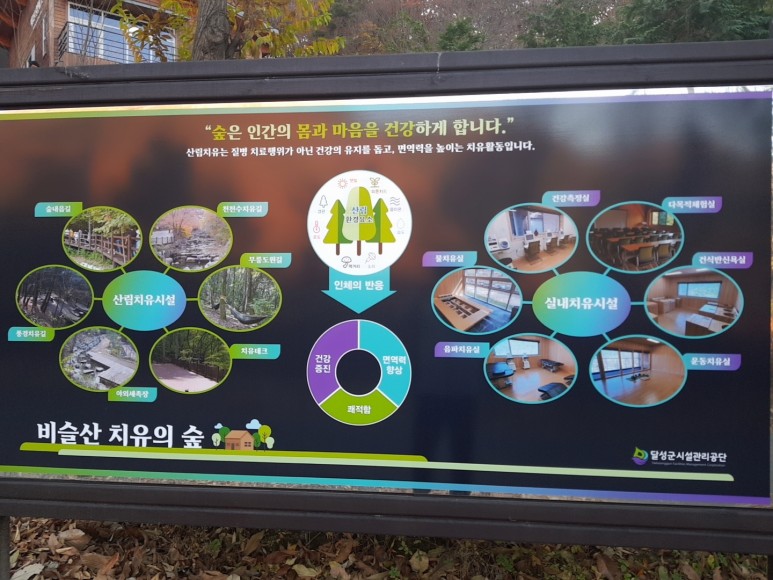 비슬산 치유의 숲 [비슬산 산림치유센터] 산림치유로 마음 19