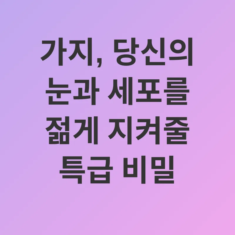 안토시아닌_2