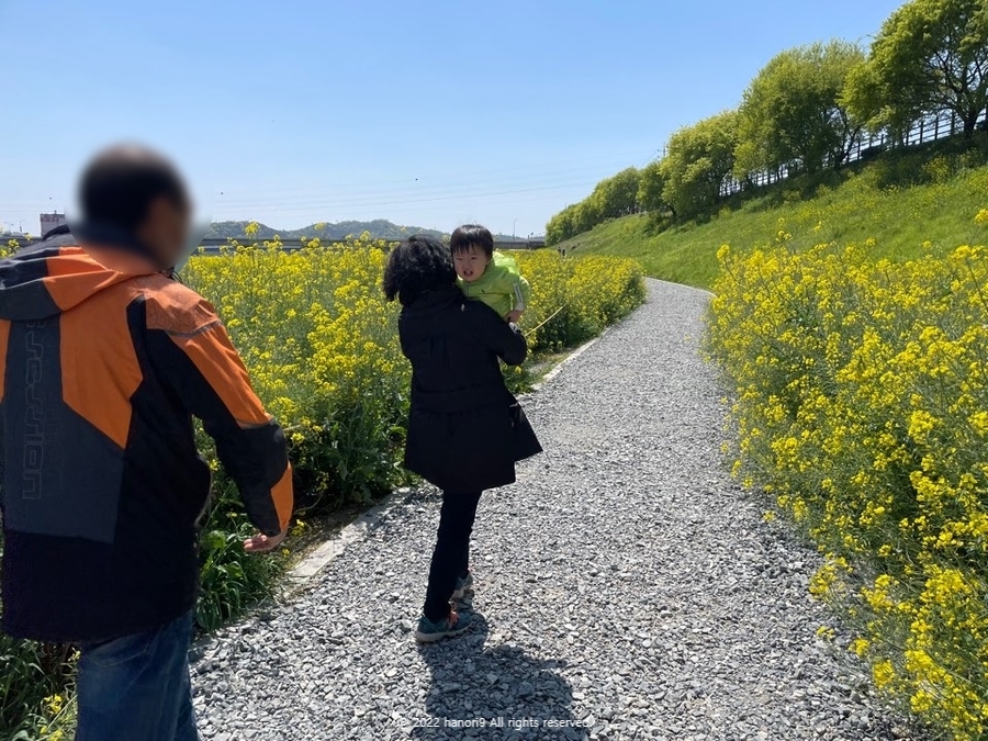 영산강 나주 유채꽃 나들이 4