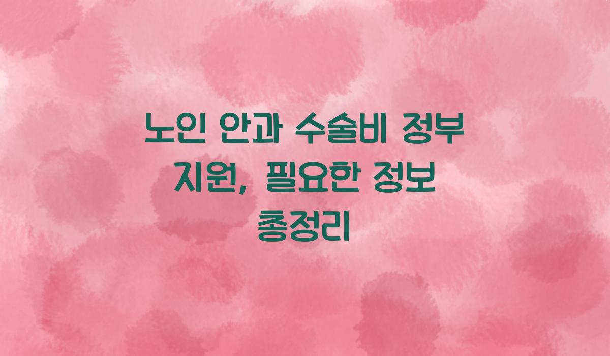 노인 안과 수술비 정부 지원