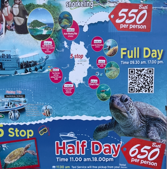 태국 휴양지 코카오 여행 투어 가격